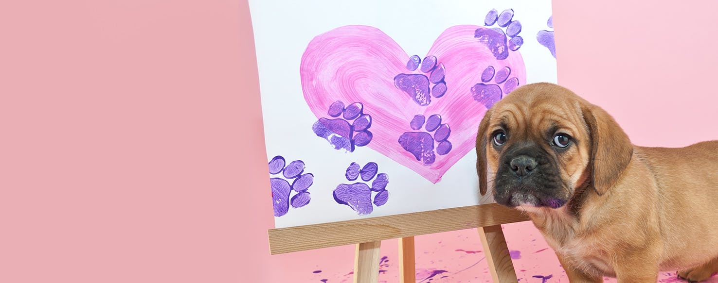 Can Dogs See Layers of Paint?